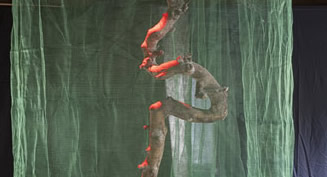 Hänker, der Apfelbaum | Wir hatten das Paradies vor unserer Haustür: bunte Blumenwiesen, viele Bäume mit Früchten… Nun werden diese Naturschönheiten eingezäunt, mit Netzen überdacht, mit Chemie übergossen. Wir Tischler und Künstler konnten früher noch mit Apfelbaumholz arbeiten, heute finden wir kaum mehr genügend Holz für eine Tischplatte. Geben wir doch dem Apfelbaum wieder einen Platz zurück, hat er doch seit Adam und Eva nie mehr seine Ruhe gefunden.