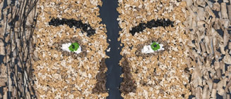 Gespaltene Persönlichkeit | 100 x 95 cm