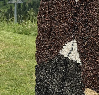 ... die ganze Welt bewundert dich, und doch versteht dich niemand'