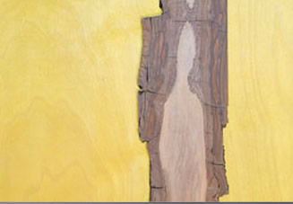 Mensch | Bild aus Nussholz auf eingefärbter Holzplatte | H. 800 cm B. 450 cm